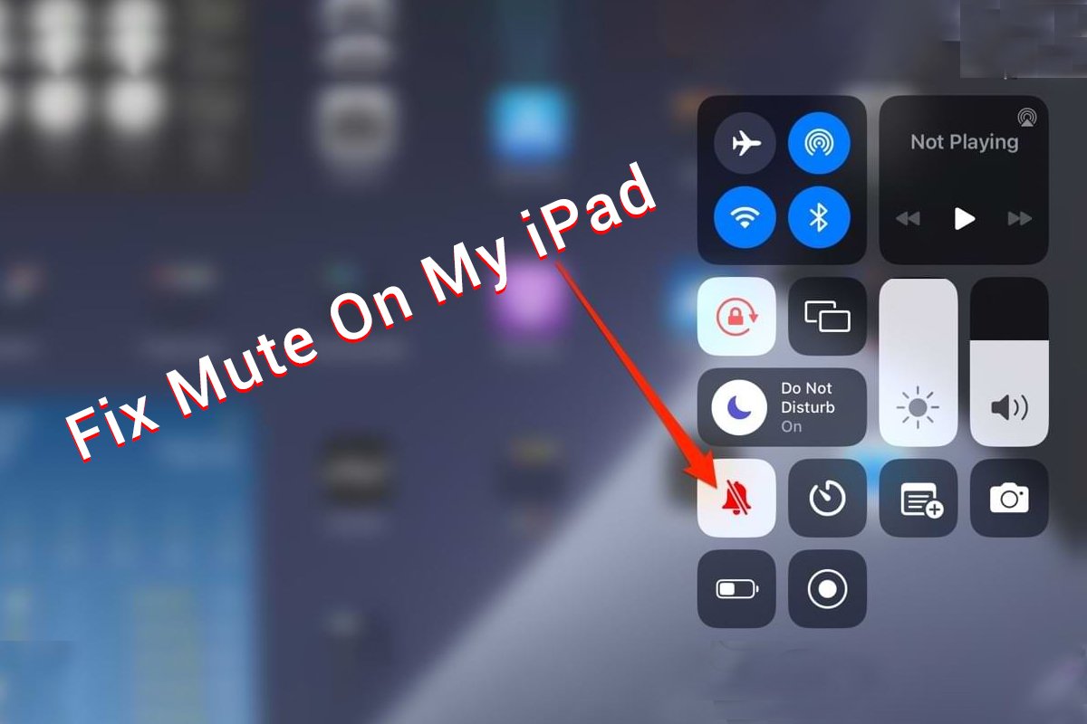 Fix Mute On My iPad